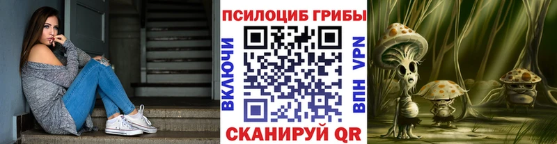 Галлюциногенные грибы Psilocybe  Купить закладки  Бийск 